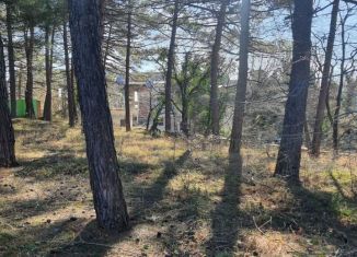 Продажа земельного участка, 131 сот., Ольгинка