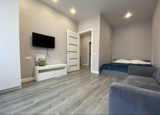 Однокомнатная квартира в аренду, 34 м2, Татарстан, Дорожная улица, 9