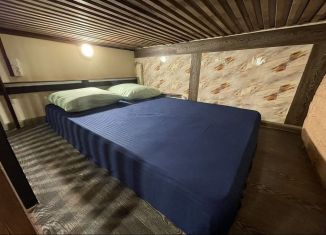 Сдаю в аренду квартиру студию, 16 м2, Санкт-Петербург, проспект Бакунина, 4