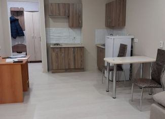 Сдается в аренду квартира студия, 28 м2, Верхняя Пышма, улица Петрова, 34В