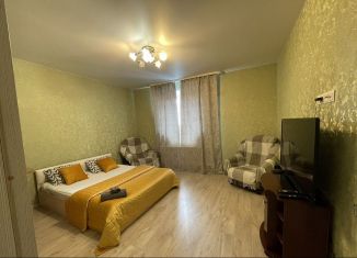 Сдается в аренду 1-комнатная квартира, 35 м2, Тверь, улица Склизкова