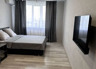 Аренда 1-ком. квартиры, 40 м2, Тольятти, Ботаническая улица, 5Ж