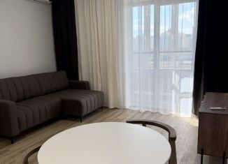 Сдается в аренду 1-комнатная квартира, 53.4 м2, Свердловская область, улица Щорса, 53