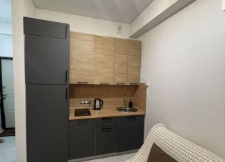 Сдам квартиру студию, 30 м2, посёлок городского типа Дагомыс, Старошоссейная улица, 5к8