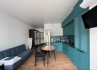 Продается квартира студия, 26.8 м2, село Небуг, улица Газовиков, 3А/2