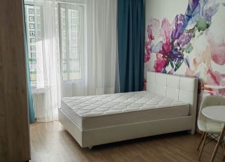 Сдается квартира студия, 25 м2, Мурино, Петровский бульвар, 11к1, ЖК Гринландия