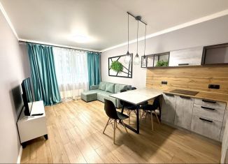 Сдача в аренду 1-ком. квартиры, 49 м2, Свердловская область, улица Готвальда, 24/4