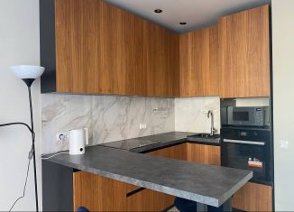 Сдача в аренду 2-комнатной квартиры, 43.2 м2, Татарстан, улица Зур Урам, 1Кк3