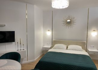 Сдается квартира студия, 33 м2, посёлок Парголово, Толубеевский проезд, 8к2