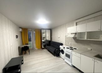 Сдаю в аренду квартиру студию, 29 м2, Краснодар, улица Героя Владислава Посадского, 40, микрорайон Восточно-Кругликовский