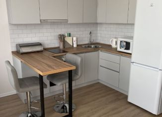 Сдаю квартиру студию, 25 м2, Люберцы, Некрасовский проезд, 13, ЖК Люберцы 2018