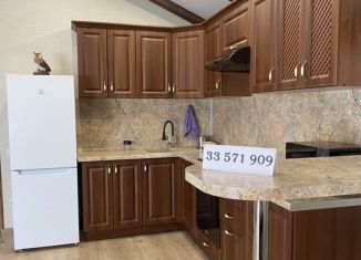 Сдается в аренду однокомнатная квартира, 40 м2, Сочи, улица Чебрикова, 48/2, микрорайон Ареда