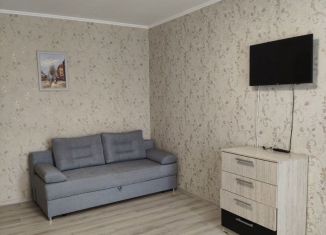 Сдача в аренду 1-комнатной квартиры, 37 м2, Омск, улица Дмитриева, 1/2