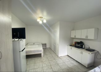 Аренда квартиры студии, 30 м2, Крым