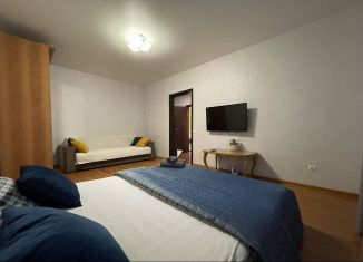 Сдается однокомнатная квартира, 33 м2, Тверь, Озёрная улица, 7к4