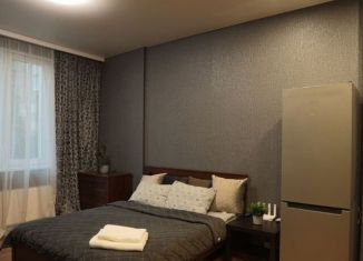 Сдается в аренду квартира студия, 30 м2, Татарстан, Чистопольская улица