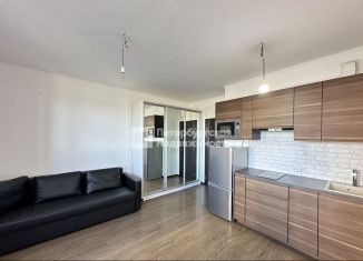 Продаю квартиру студию, 24.8 м2, Санкт-Петербург, Комендантский проспект, 66к1, ЖК Чистое Небо