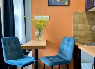 Аренда квартиры студии, 16 м2, Санкт-Петербург, Прилукская улица, 13