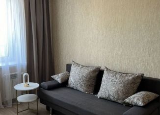 Сдача в аренду 1-комнатной квартиры, 43 м2, Орёл, улица Революции, 3