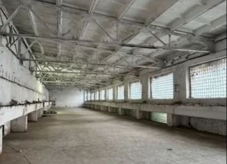 Помещение свободного назначения в аренду, 700 м2, Архангельск, Никольский проспект, 15к3