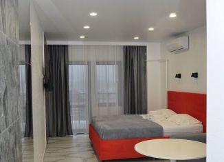 Сдаю квартиру студию, 50 м2, Сочи, улица Пирогова, 30