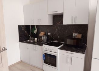 Продажа 1-ком. квартиры, 37.4 м2, деревня Анкудиновка, ЖК КМ Анкудиновский Парк, Русская улица, 19