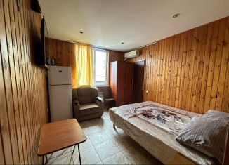 Квартира в аренду студия, 17 м2, Сочи, улица Мира, 21/1