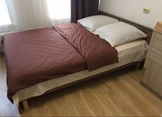 Сдам квартиру студию, 15.5 м2, Санкт-Петербург, переулок Макаренко, 3