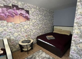 Сдам в аренду 1-ком. квартиру, 34.8 м2, Сухой Лог, переулок Будённого, 4А