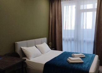 Сдам квартиру студию, 28 м2, Тюмень, 2-я Луговая улица, 24к3