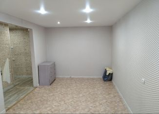 Продаю 1-комнатную квартиру, 31.6 м2, Нижегородская область, сельский посёлок Советский, 28