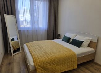 Аренда 1-ком. квартиры, 45 м2, Тюмень, 2-я Луговая улица, 24к3