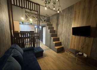 Сдается квартира студия, 28 м2, Удмуртия, Нижняя улица, 2