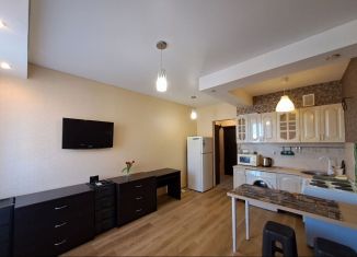 Аренда квартиры студии, 28 м2, Ростов-на-Дону, Батуринская улица, 159/78