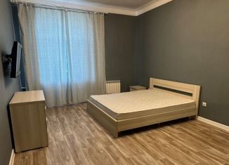 Сдам двухкомнатную квартиру, 50 м2, Санкт-Петербург, Старо-Петергофский проспект, 21к1