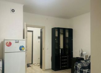 Сдаю в аренду квартиру студию, 25 м2, Санкт-Петербург, проспект Ветеранов, 175, метро Юго-Западная