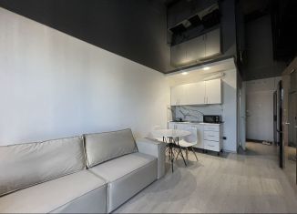 Продается квартира студия, 21 м2, Санкт-Петербург, Вилькицкий бульвар