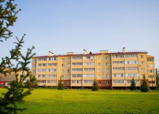 Однокомнатная квартира на продажу, 47.6 м2, Ярославль, улица Александра Додонова, 8к3, ЖК Норские Резиденции