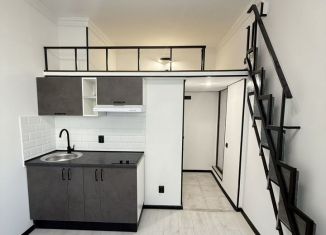 Продаю квартиру студию, 16 м2, Санкт-Петербург, муниципальный округ Волковское, Витебская Сортировочная улица, 12