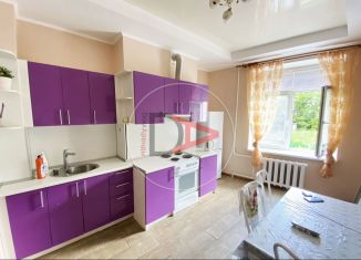 Сдается однокомнатная квартира, 50 м2, Республика Башкортостан, улица Блюхера, 3/8