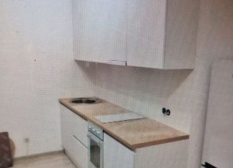 Квартира в аренду студия, 20 м2, Москва, Ослябинский переулок, 3, метро ЗИЛ