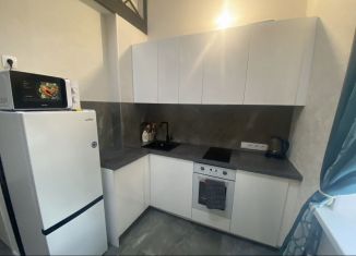 Сдам в аренду однокомнатную квартиру, 30 м2, Санкт-Петербург, Дубровская улица, 5