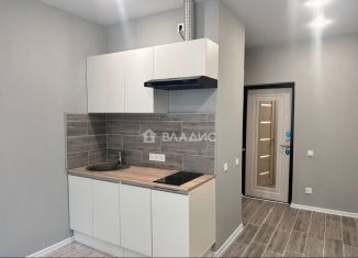 Продаю квартиру студию, 19 м2, Нижний Новгород, Московское шоссе, 203, Московский район