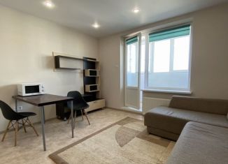 Квартира в аренду студия, 23 м2, Санкт-Петербург, Московское шоссе, 262к1