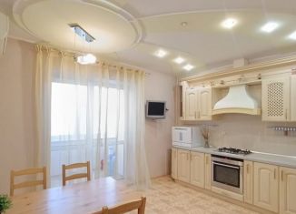 Аренда двухкомнатной квартиры, 80 м2, Саратов, улица имени И.В. Мичурина, 38/44