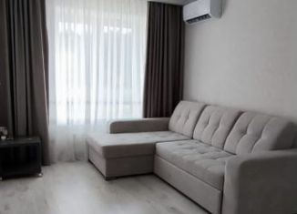 Однокомнатная квартира в аренду, 37 м2, Татарстан, Минская улица, 50