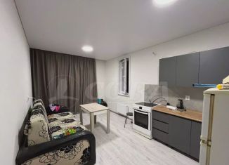 Аренда 1-ком. квартиры, 40 м2, Тюмень, улица Николая Глебова, 4