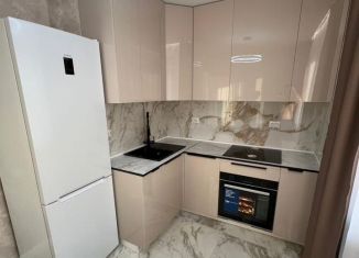 Продам 1-комнатную квартиру, 31.5 м2, Мурино, ЖК Авиатор, Ручьёвский проспект, 4/26