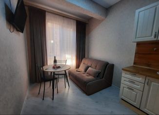 Сдам 1-комнатную квартиру, 33 м2, Сочи, Красная улица, 34Ж
