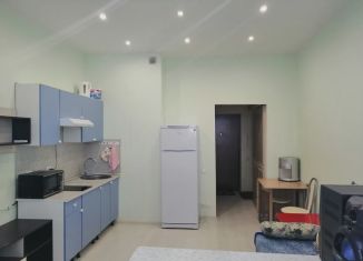 Продажа квартиры студии, 26 м2, Тюмень, Газопромысловая улица, 8, ЖК Новый Мыс 2.0